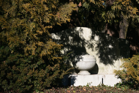 _DSC0098.jpeg