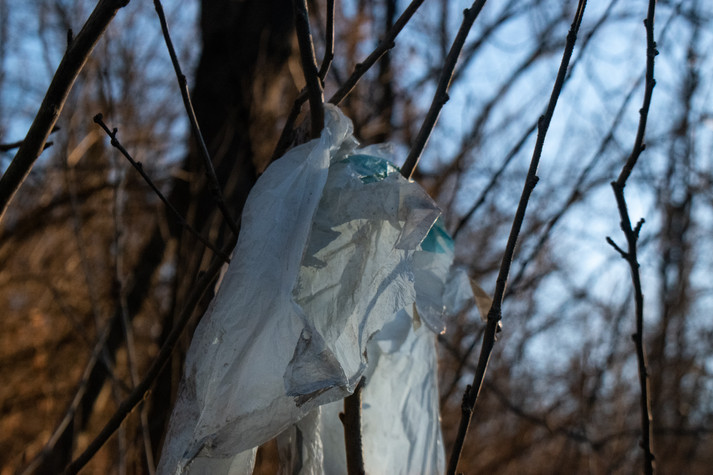 _DSC0136.jpeg