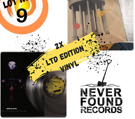 Lot 9 Never Found vinyl.jpeg