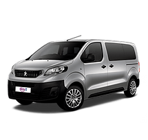 minibus dayz expert.png