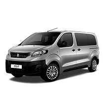 minibus dayz expert.png