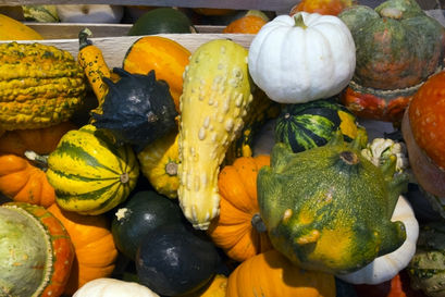 【ハロウィンといえば！】フランスと日本のカボチャ事情♪