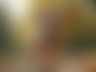 Best Pet Tech Products for Reducing Dog Stress