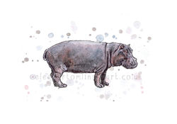 HIPPO