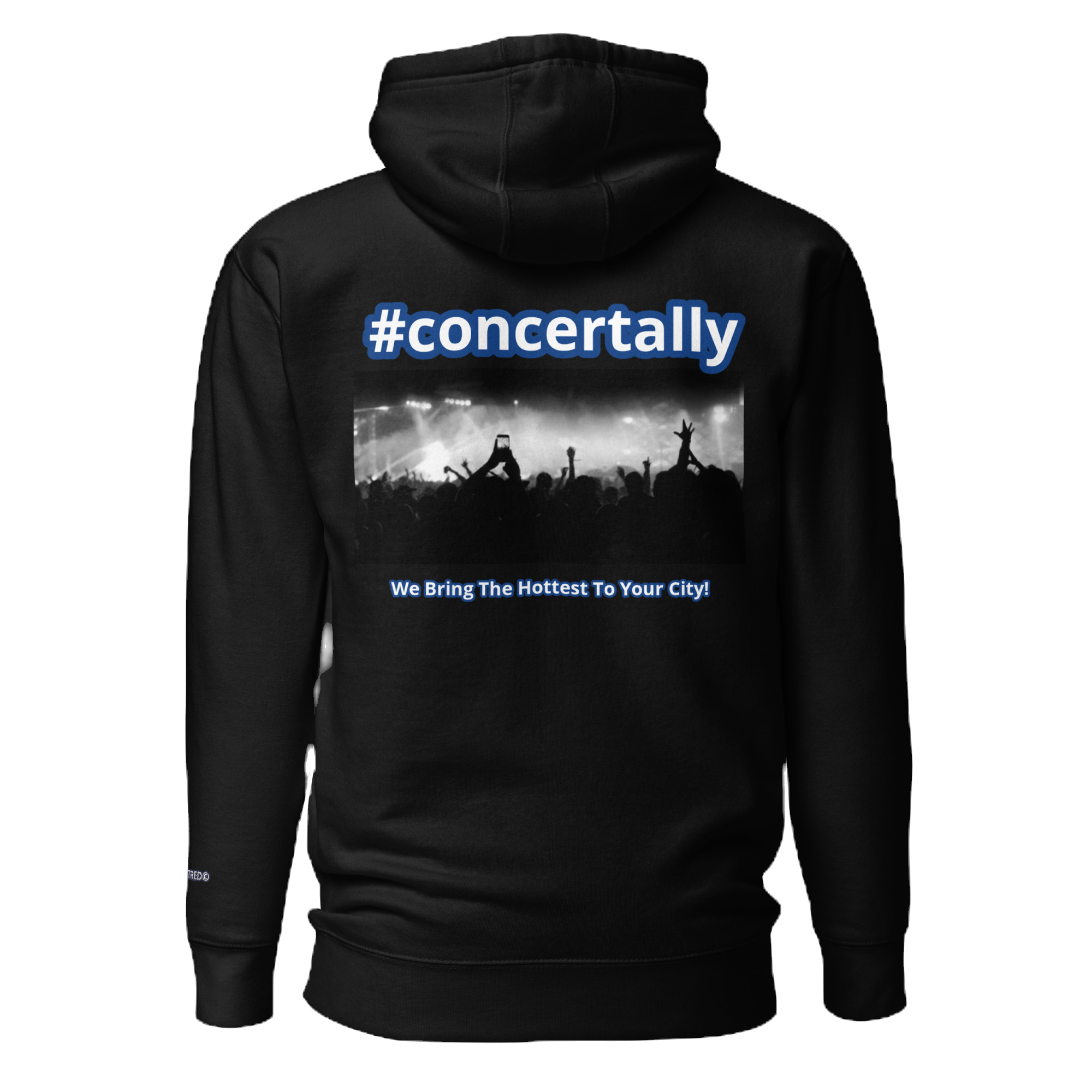 Concert Ally  Hoodie with large embroidery