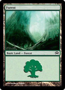 Forest (pc2)