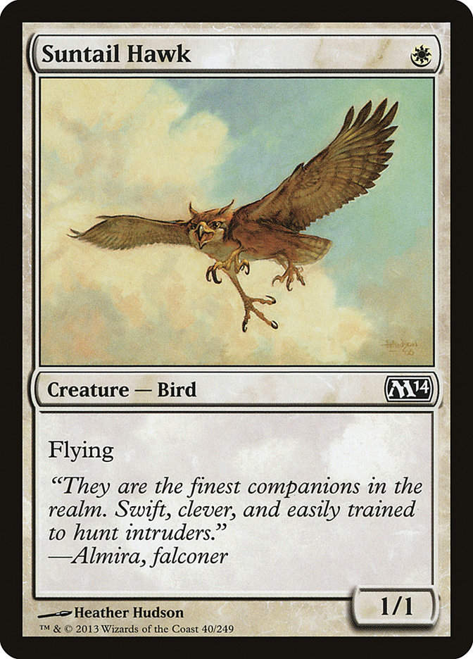 Suntail Hawk (M14) (40)