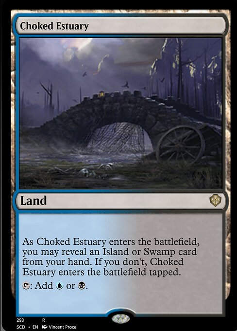 Choked Estuary (SCD)