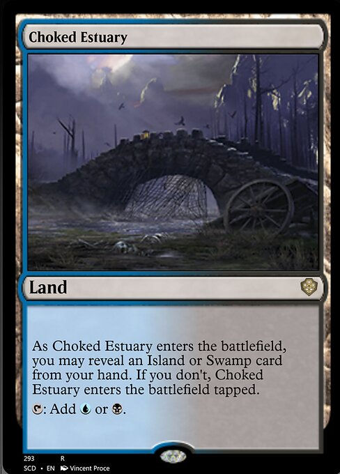 Choked Estuary (SCD)