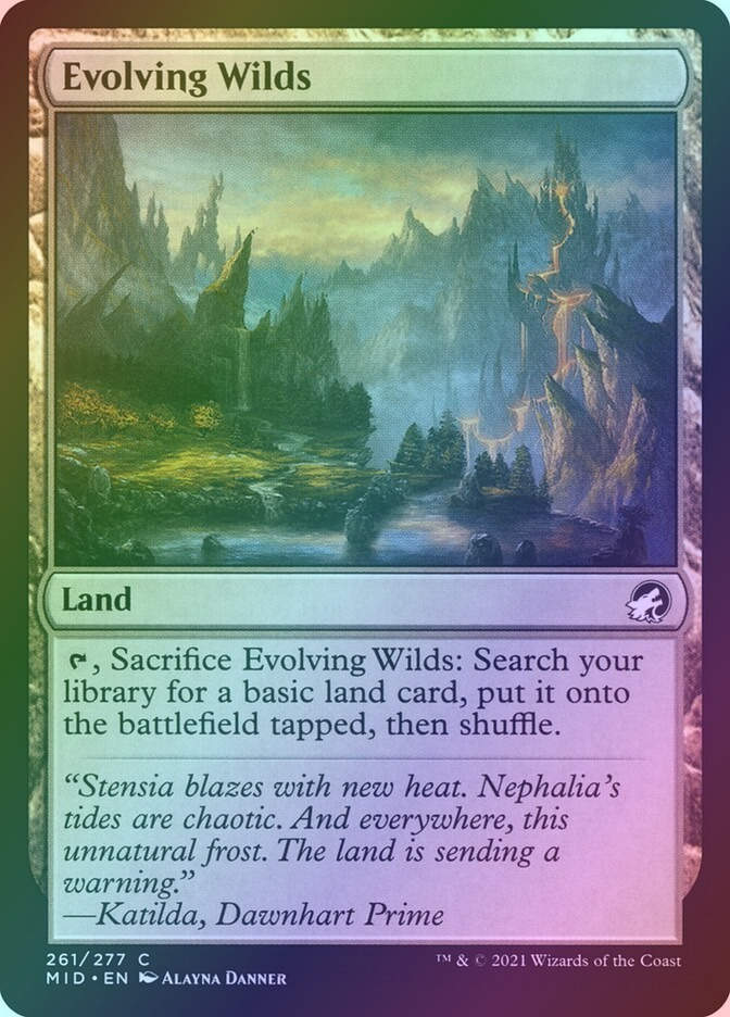 Evolving Wilds (MID) (261) / Foil
