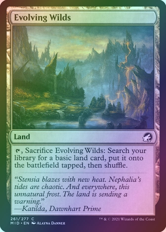 Evolving Wilds (MID) (261) / Foil