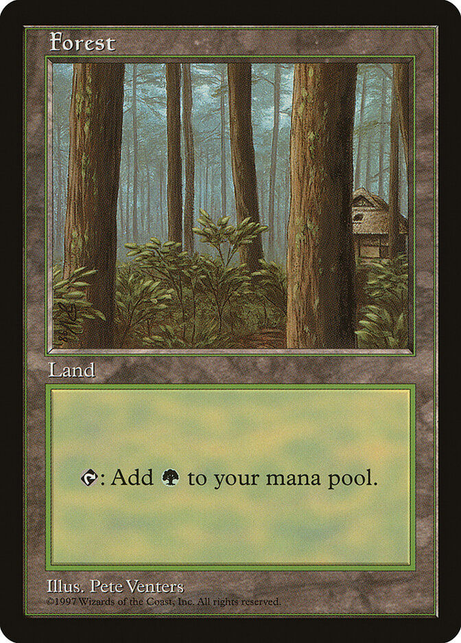 Forest (PALP) (1)