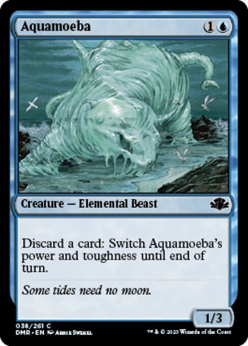 Aquamoeba (DMR)