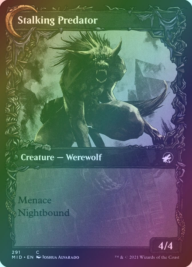 Shady Traveler // Stalking Predator (MID) (291) / Showcase / Foil — cara 2 de 2