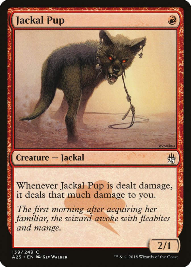 Jackal Pup (A25) (139)