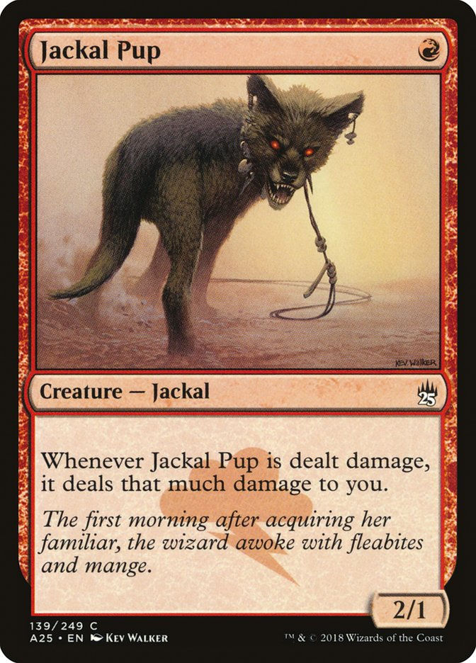 Jackal Pup (A25) (139)