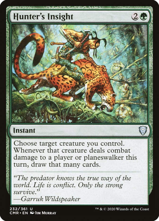 Hunter's Insight (CMR) (232)