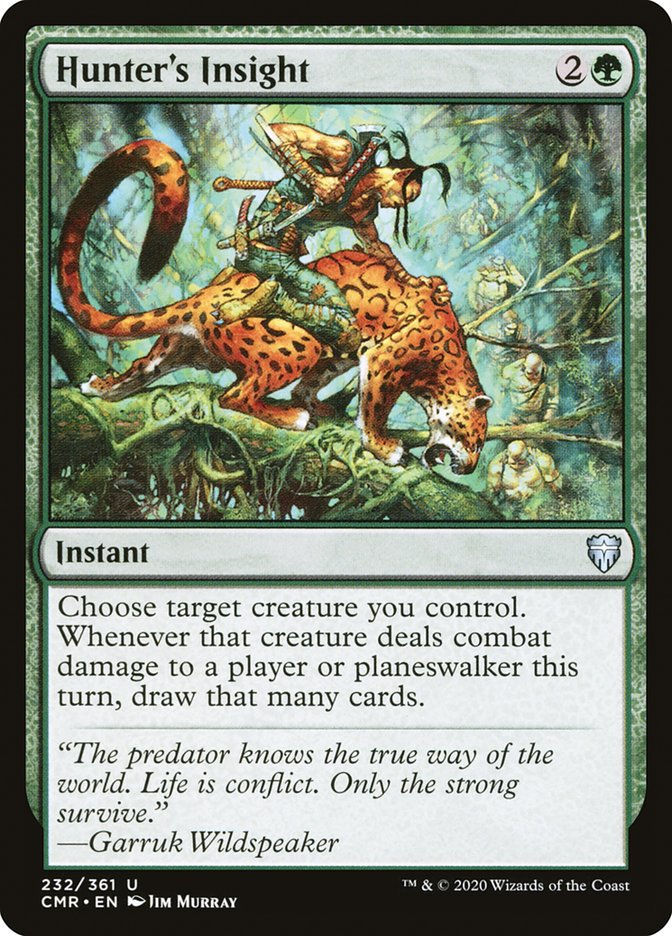Hunter's Insight (CMR) (232)