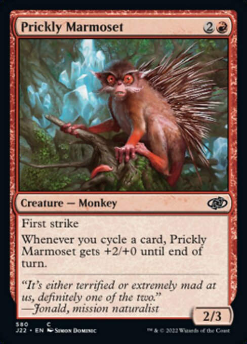 Prickly Marmoset (J22))