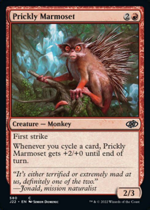 Prickly Marmoset (J22))