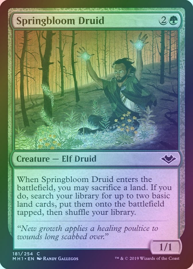 Springbloom Druid (MH1) (181) / Foil