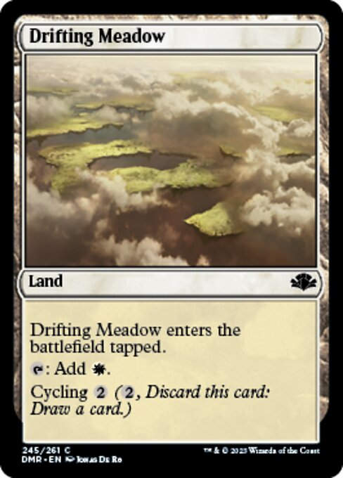 Drifting Meadow (DMR)