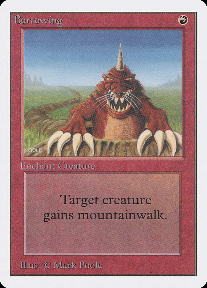 Burrowing (2ED) (139)
