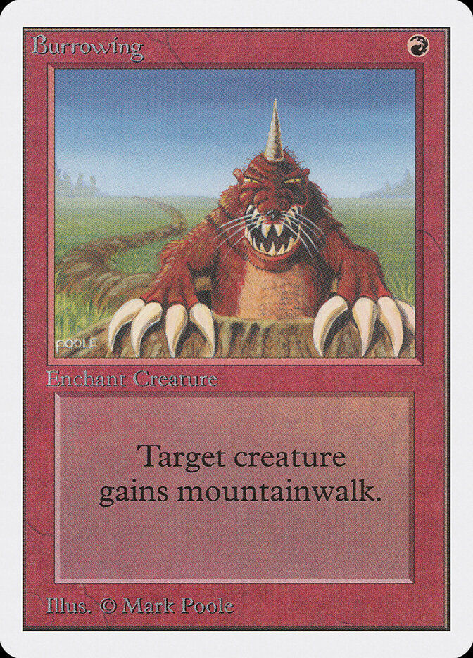 Burrowing (2ED) (139)