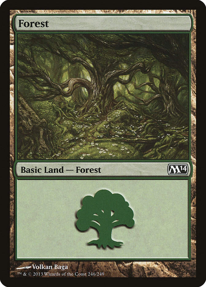 Forest (M14) (246)
