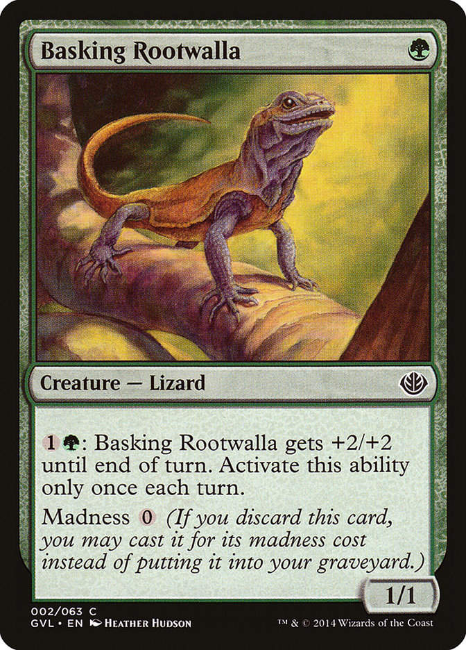 Basking Rootwalla (gvl)