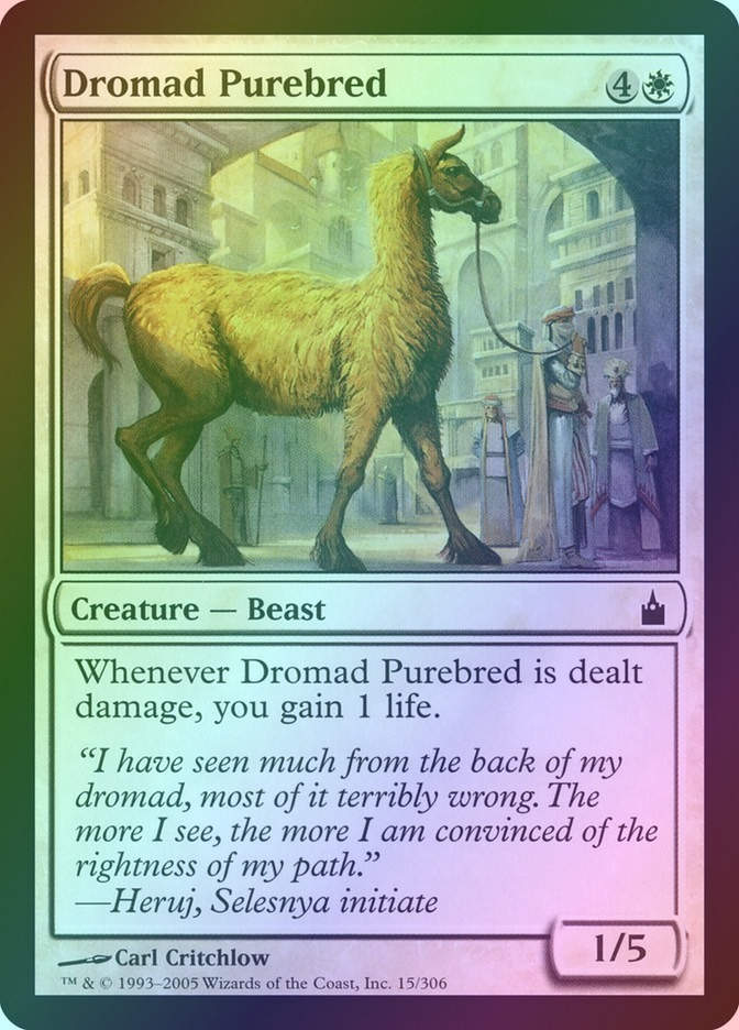 Dromad Purebred (RAV) (15) / Foil