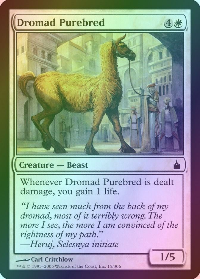 Dromad Purebred (RAV) (15) / Foil