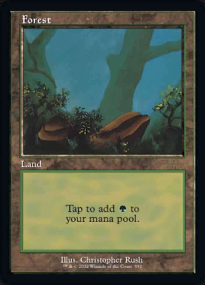 Forest (30a_592) / Retro Frame