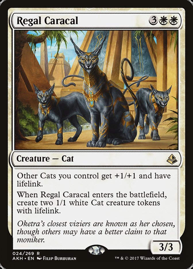Regal Caracal (AKH) (24)