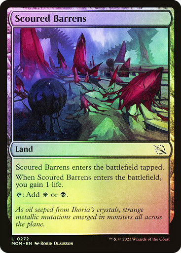 Scoured Barrens (mom) / Foil