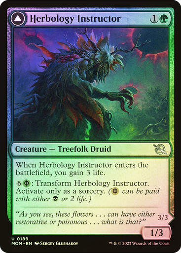 Herbology Instructor // Malady Invoker (mom) / Foil