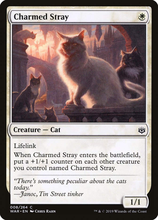 Charmed Stray (WAR) (8)