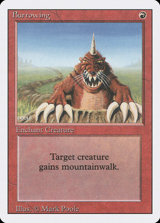 Burrowing (3ED) (140)
