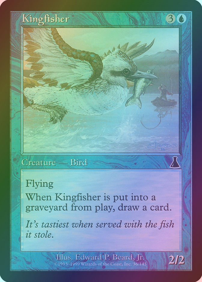Kingfisher (UDS) (36) / Foil
