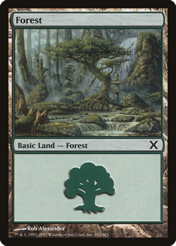 Forest (10E) (382)