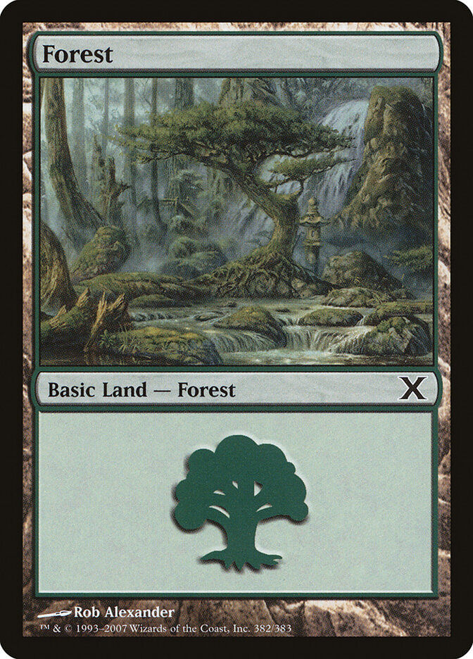 Forest (10E) (382)