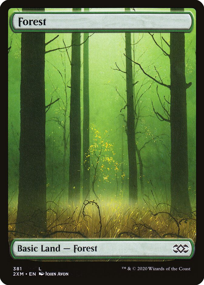 Forest (2XM) (381)