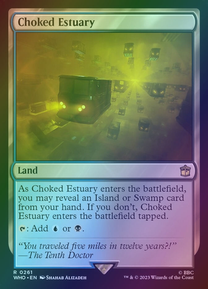 Choked Estuary (WHO) (261) / Foil