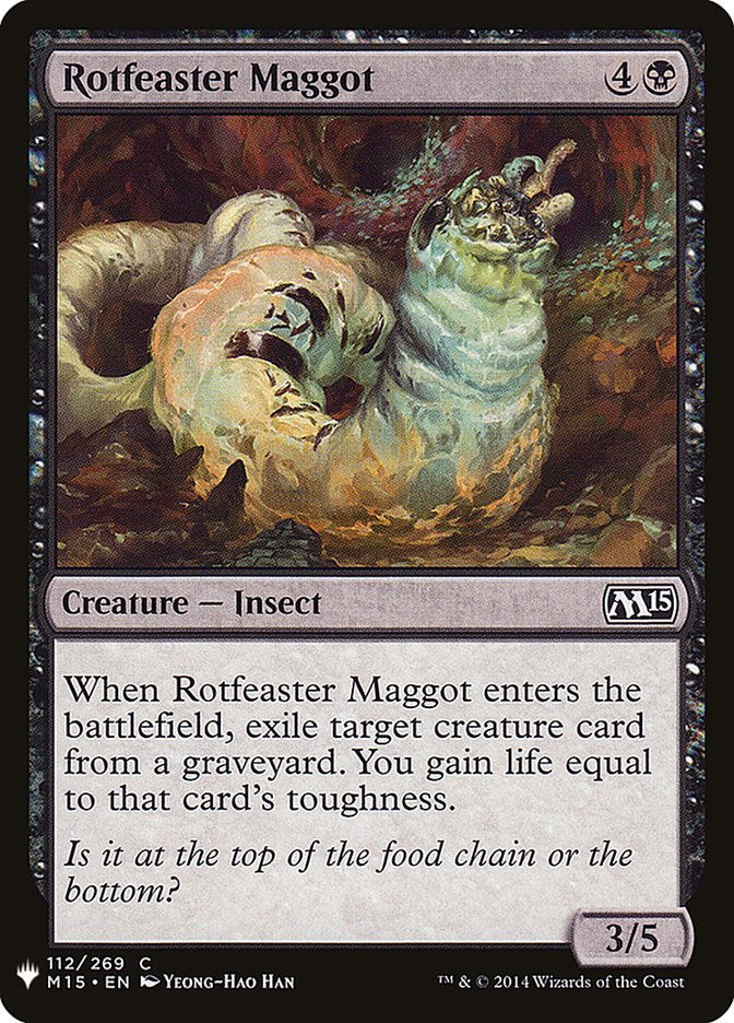 Rotfeaster Maggot (MYS)