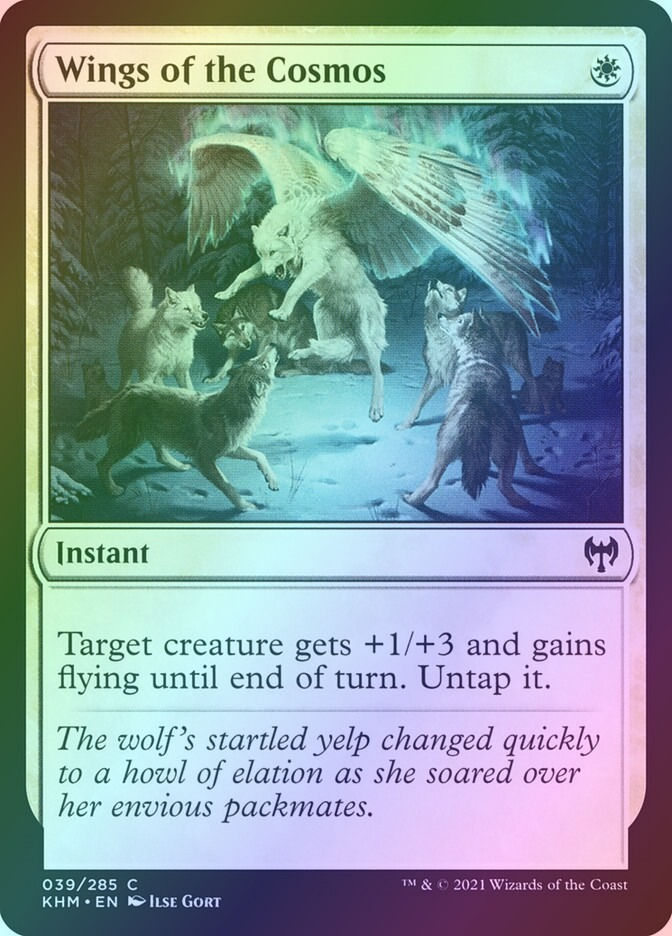 Wings of the Cosmos (KHM) (39) / Foil