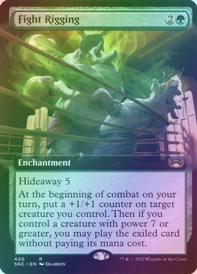 Fight Rigging (SNC) (430) / Extended Art / Foil