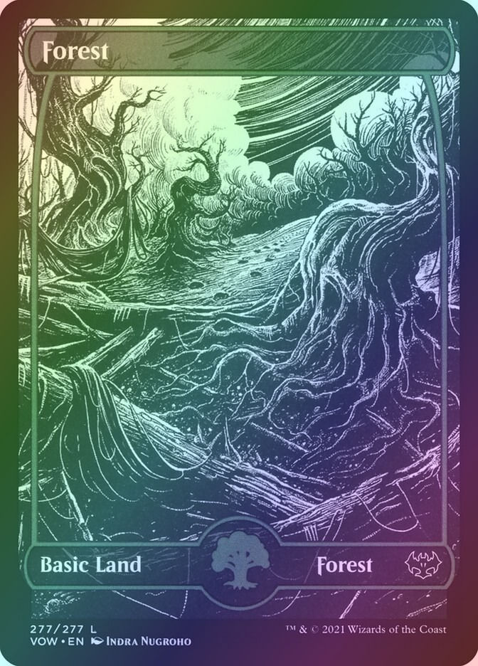 Forest (VOW) (277) / Showcase / Foil