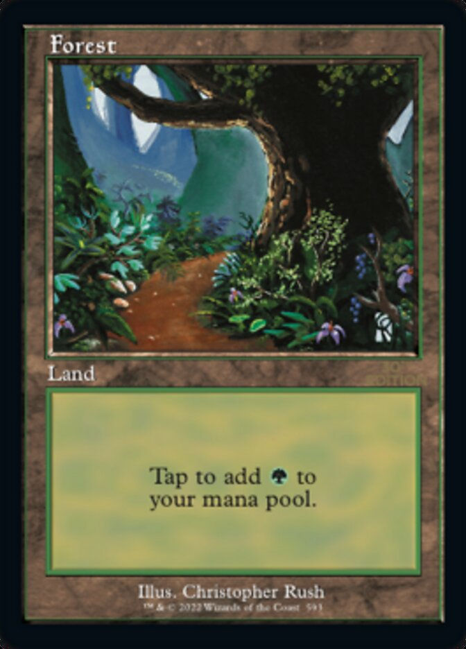 Forest (30a_593) / Retro Frame