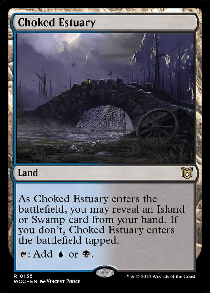 Choked Estuary (WOC) (155)