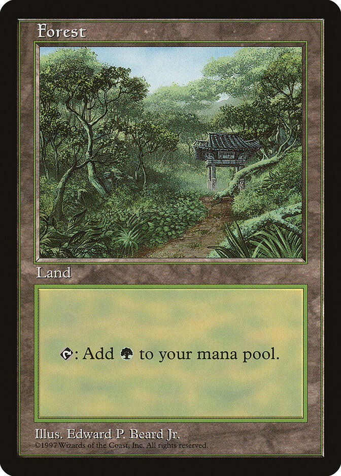 Forest (PALP) (11)